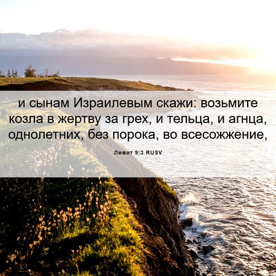 Picture 06 - Левит 9:3 RUSV - и сынам Израилевым скажи: - Bible Verse Picture