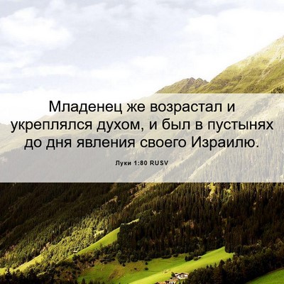 Picture 06 - Луки 1:80 RUSV - Младенец же возрастал и - Bible Verse Picture