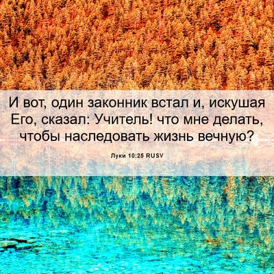Picture 06 - Луки 10:25 RUSV - И вот, один законник встал - Bible Verse Picture
