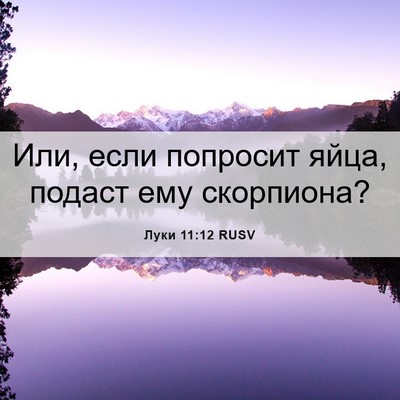 Picture 06 - Луки 11:12 RUSV - Или, если попросит яйца, - Bible Verse Picture
