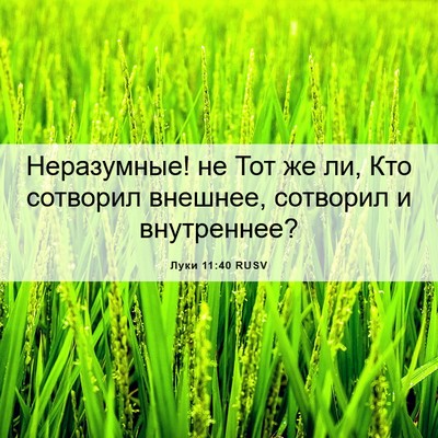 Picture 06 - Луки 11:40 RUSV - Неразумные! не Тот же ли, - Bible Verse Picture