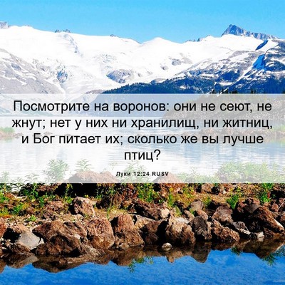 Picture 06 - Луки 12:24 RUSV - Посмотрите на воронов: они - Bible Verse Picture