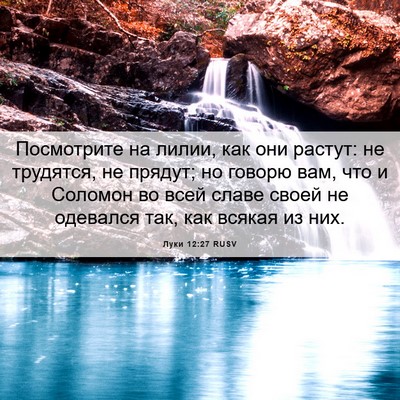 Picture 06 - Луки 12:27 RUSV - Посмотрите на лилии, как - Bible Verse Picture