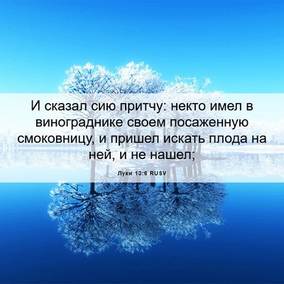Picture 06 - Луки 13:6 RUSV - И сказал сию притчу: некто - Bible Verse Picture