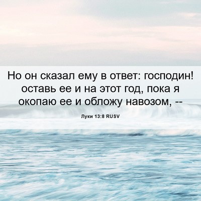 Picture 06 - Луки 13:8 RUSV - Но он сказал ему в ответ: - Bible Verse Picture