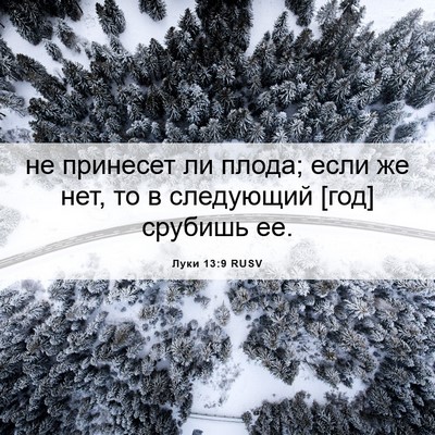 Picture 06 - Луки 13:9 RUSV - не принесет ли плода; если - Bible Verse Picture