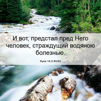 Picture 06 - Луки 14:2 RUSV - И вот, предстал пред Него - Bible Verse Picture