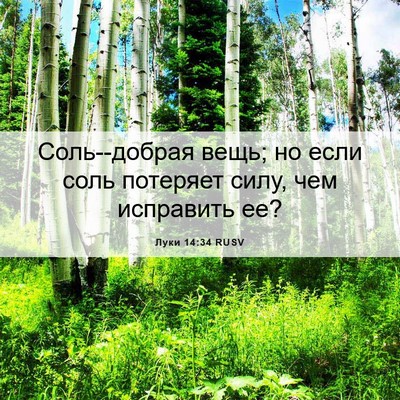 Picture 06 - Луки 14:34 RUSV - Соль--добрая вещь; но если - Bible Verse Picture