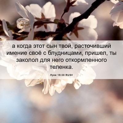 Picture 06 - Луки 15:30 RUSV - а когда этот сын твой, - Bible Verse Picture