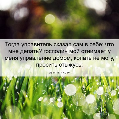 Picture 06 - Луки 16:3 RUSV - Тогда управитель сказал - Bible Verse Picture