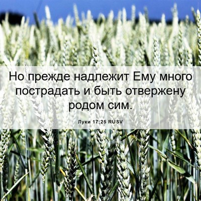Picture 06 - Луки 17:25 RUSV - Но прежде надлежит Ему - Bible Verse Picture