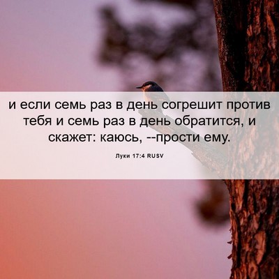 Picture 06 - Луки 17:4 RUSV - и если семь раз в день - Bible Verse Picture
