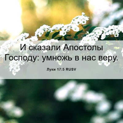 Picture 06 - Луки 17:5 RUSV - И сказали Апостолы - Bible Verse Picture