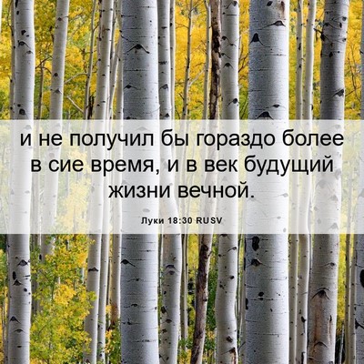 Picture 06 - Луки 18:30 RUSV - и не получил бы гораздо - Bible Verse Picture