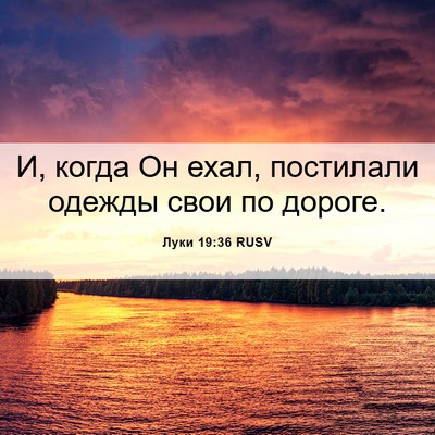 Picture 06 - Луки 19:36 RUSV - И, когда Он ехал, постилали - Bible Verse Picture