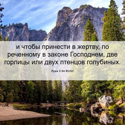 Picture 06 - Луки 2:24 RUSV - и чтобы принести в жертву, - Bible Verse Picture