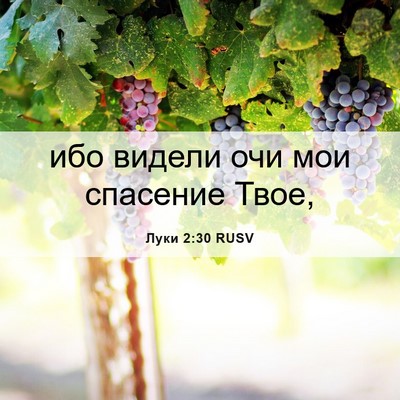 Picture 06 - Луки 2:30 RUSV - ибо видели очи мои - Bible Verse Picture