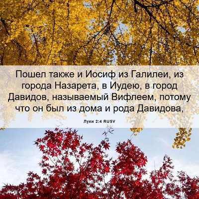 Picture 06 - Луки 2:4 RUSV - Пошел также и Иосиф из - Bible Verse Picture