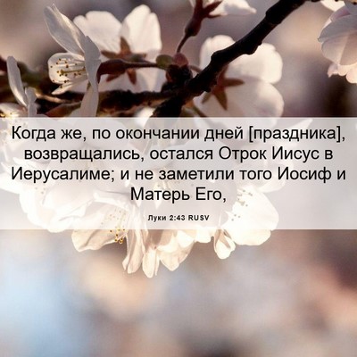 Picture 06 - Луки 2:43 RUSV - Когда же, по окончании дней - Bible Verse Picture