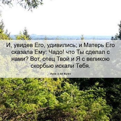Picture 06 - Луки 2:48 RUSV - И, увидев Его, удивились; и - Bible Verse Picture