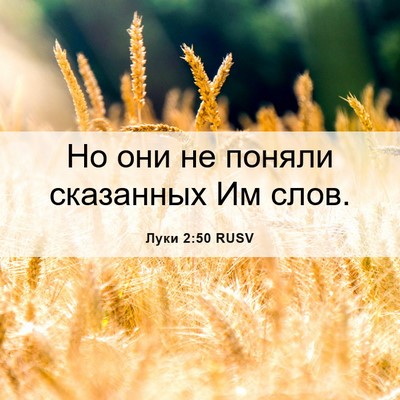 Picture 06 - Луки 2:50 RUSV - Но они не поняли сказанных - Bible Verse Picture