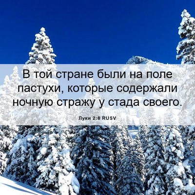 Picture 06 - Луки 2:8 RUSV - В той стране были на поле - Bible Verse Picture