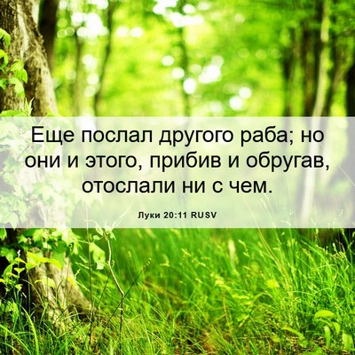 Picture 06 - Луки 20:11 RUSV - Еще послал другого раба; но - Bible Verse Picture