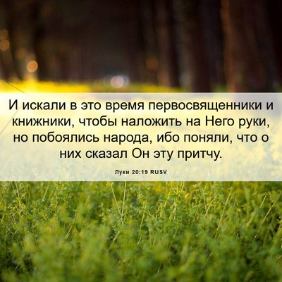 Picture 06 - Луки 20:19 RUSV - И искали в это время - Bible Verse Picture