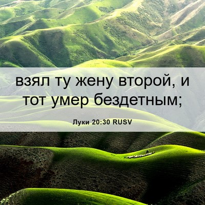 Picture 06 - Луки 20:30 RUSV - взял ту жену второй, и тот - Bible Verse Picture