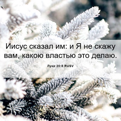 Picture 06 - Луки 20:8 RUSV - Иисус сказал им: и Я не - Bible Verse Picture