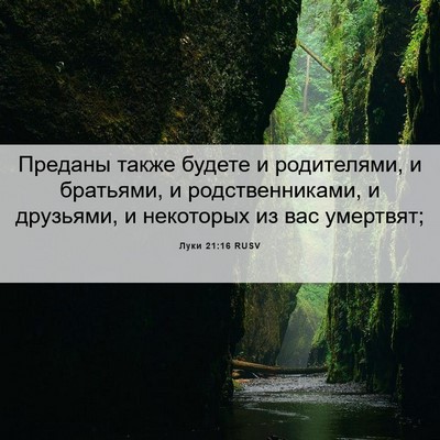 Picture 06 - Луки 21:16 RUSV - Преданы также будете и - Bible Verse Picture