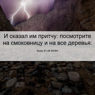 Picture 06 - Луки 21:29 RUSV - И сказал им притчу: - Bible Verse Picture