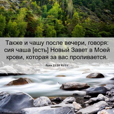 Picture 06 - Луки 22:20 RUSV - Также и чашу после вечери, - Bible Verse Picture