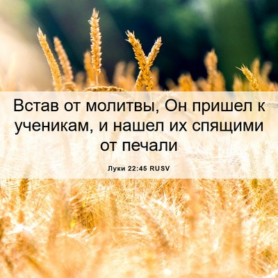 Picture 06 - Луки 22:45 RUSV - Встав от молитвы, Он пришел - Bible Verse Picture