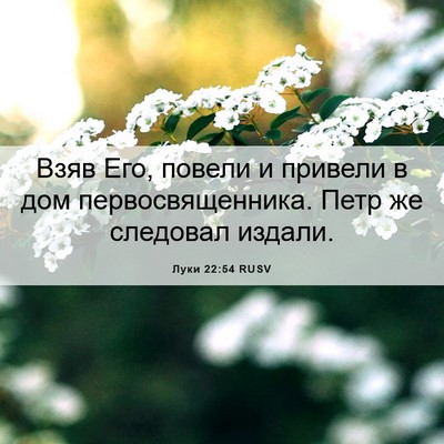 Picture 06 - Луки 22:54 RUSV - Взяв Его, повели и привели - Bible Verse Picture