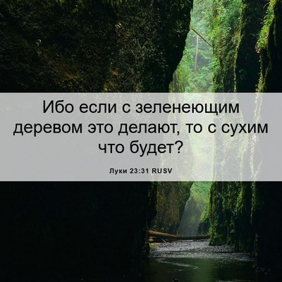 Picture 06 - Луки 23:31 RUSV - Ибо если с зеленеющим - Bible Verse Picture
