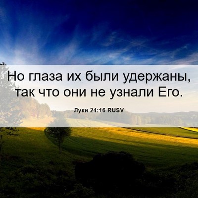 Picture 06 - Луки 24:16 RUSV - Но глаза их были удержаны, - Bible Verse Picture
