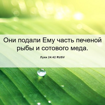 Picture 06 - Луки 24:42 RUSV - Они подали Ему часть - Bible Verse Picture
