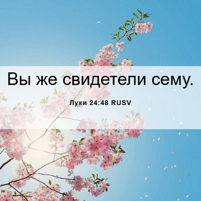 Picture 06 - Луки 24:48 RUSV - Вы же свидетели - Bible Verse Picture