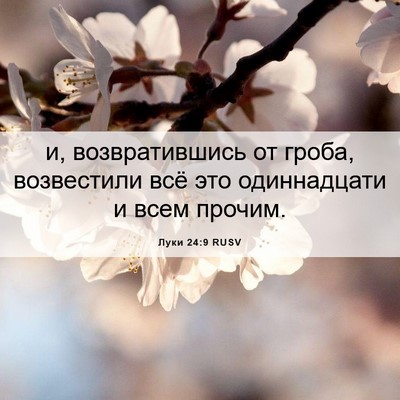 Picture 06 - Луки 24:9 RUSV - и, возвратившись от гроба, - Bible Verse Picture