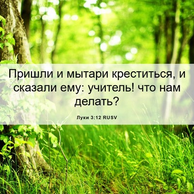 Picture 06 - Луки 3:12 RUSV - Пришли и мытари - Bible Verse Picture