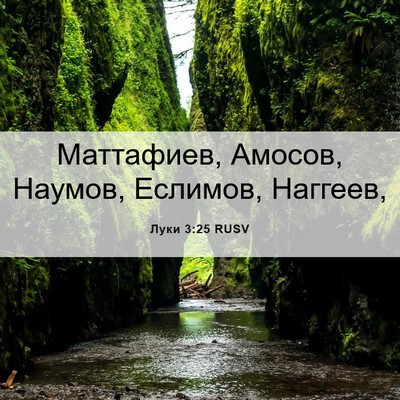 Picture 06 - Луки 3:25 RUSV - Маттафиев, Амосов, Наумов, - Bible Verse Picture
