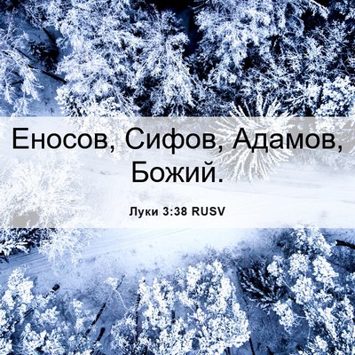 Picture 06 - Луки 3:38 RUSV - Еносов, Сифов, Адамов, - Bible Verse Picture