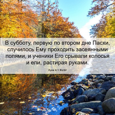 Picture 06 - Луки 6:1 RUSV - В субботу, первую по втором - Bible Verse Picture