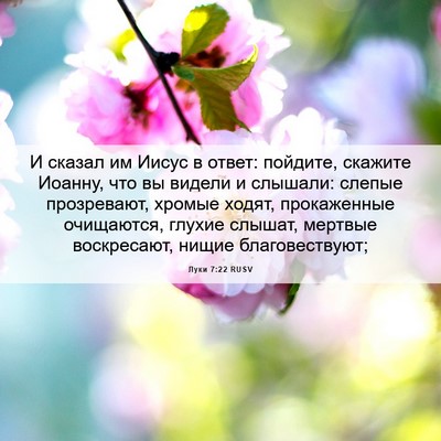 Picture 06 - Луки 7:22 RUSV - И сказал им Иисус в ответ: - Bible Verse Picture