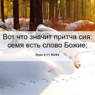 Picture 06 - Луки 8:11 RUSV - Вот что значит притча сия: - Bible Verse Picture