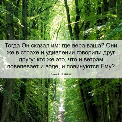 Picture 06 - Луки 8:25 RUSV - Тогда Он сказал им: где - Bible Verse Picture