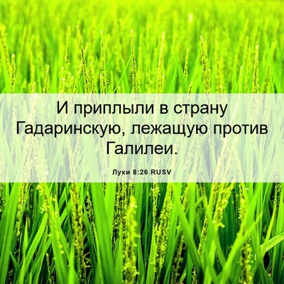 Picture 06 - Луки 8:26 RUSV - И приплыли в страну - Bible Verse Picture