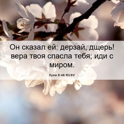 Picture 06 - Луки 8:48 RUSV - Он сказал ей: дерзай, дщерь! - Bible Verse Picture