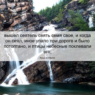 Picture 06 - Луки 8:5 RUSV - вышел сеятель сеять семя - Bible Verse Picture
